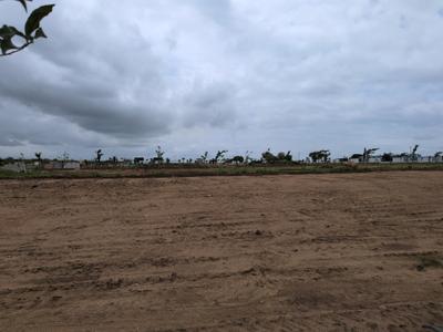 Open plot shadnagar Plot View 2