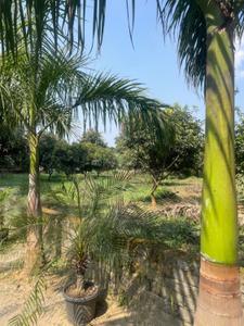 Image of 2235 Sq.ft 3 BHK Apartment / Flat for sale in Adityapur, Jamshedpur for Rs. 12500000