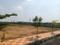 Kothur Plot View 2