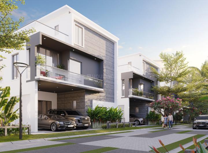 Elephantalia Main Image 1