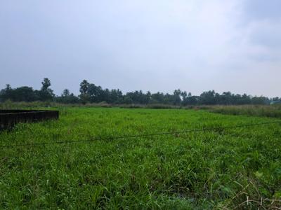 Image of 720 Sq.ft Residential Plot / Land for sale in Wander Valley, Joka, Kolkata for Rs. 268888