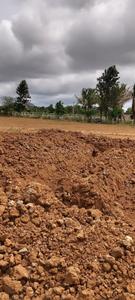 Image of 1200 Sq.ft Residential Plot / Land for sale in Rajanukunte, Bengaluru for Rs. 1437000