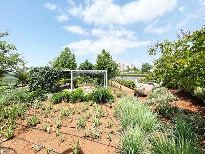 Image of 2710 Sq.ft Residential Plot / Land for sale in Kekarav, Bavdhan, Pune for Rs. 24000000