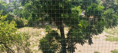 Image of 750 Sq.ft 2 BHK Apartment / Flat for sale in Manjari Greens Annexe, Hadapsar, Pune for Rs. 6800000