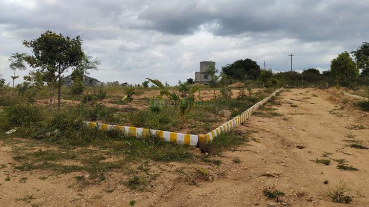 Denkanikottai Main Image 1