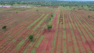 Image of 605 Sq.ft Residential Plot / Land for sale in Narayankhed, Sangareddy for Rs. 682000