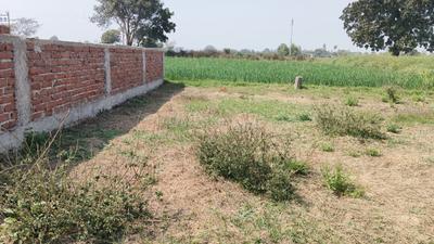 Image of 750 Sq.ft Residential Plot / Land for sale in Chirora, Patna for Rs. 1725000