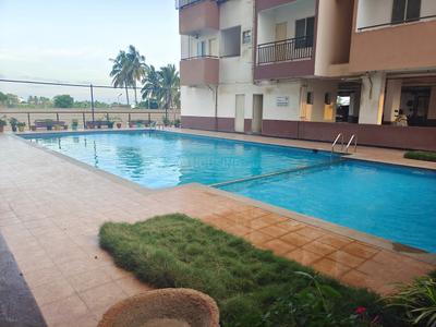 3 BHK Flat