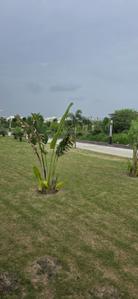 Image of 880 Sq.ft Residential Plot / Land for sale in Nageshwar Sky Dream City, Bada Bangarda, Indore for Rs. 4312000