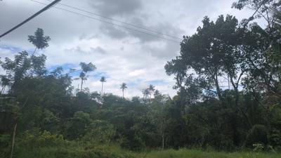 Image of 600 Sq.ft 3 BHK Independent House for sale in Kanjikuzhy, Idukki for Rs. 1300000