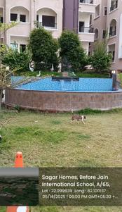 Image of 953 Sq.ft 3 BHK Apartment / Flat for sale in Vastu Shikhar, Sakri, Bilaspur for Rs. 5800000