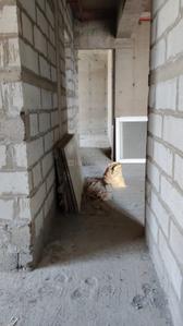Passage Image of 2314 Sq.ft 3 BHK Apartment / Flat for sale in Rishabraj Phoenix, Borivali West Mumbai for Rs. 61381100