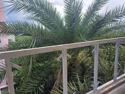 Balcony Image of 960 Sq.ft 2 BHK Apartment / Flat for sale in Kolapakkam Chennai for Rs. 6000000