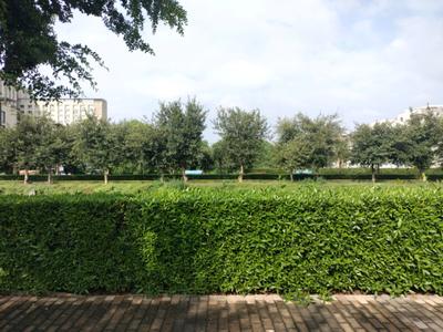 Image of 1125 Sq.ft Residential Plot / Land for sale in BPTP District, Sector 81, Faridabad for Rs. 24000000