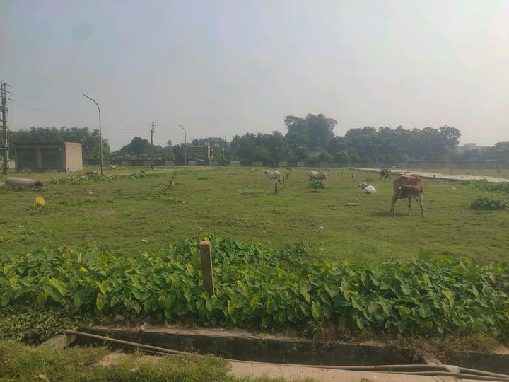 Swapnabhumi Main Image 1