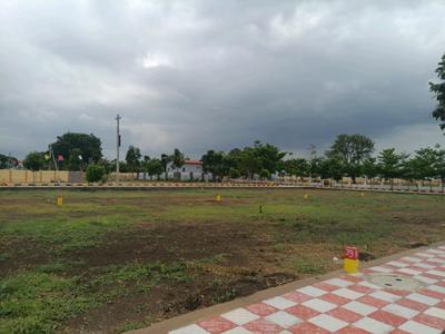 Hampton Palm Plot View 1