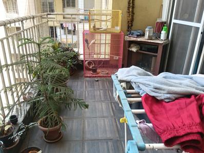 Balcony Image of 1100 Sq.ft 2 BHK Apartment / Flat for sale in Lohia Megh Malhar Raga, Bavdhan Pune for Rs. 10500000