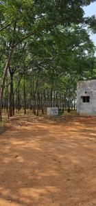 Image of 9000 Sq.ft Residential Plot / Land for sale in Kamsanpalle, Narayanpet for Rs. 7500000