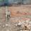 4 MARLA MALKIYAT LAND  Plot View 2