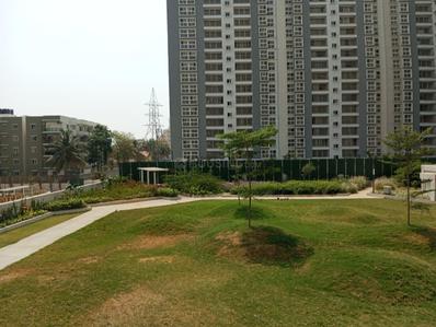 Image of 1100 Sq.ft 3 BHK Apartment / Flat for sale in Godrej Park Retreat, Chikkakannalli, Bengaluru for Rs. 16500000