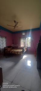 Hall Image of 850 Sq.ft 2 BHK Apartment / Flat for rent in JMC Hill View, Matigara Siliguri for Rs. 8000