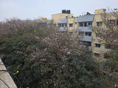 Image of 950 Sq.ft 2 BHK Builder Floor for rent in Electronic City, Bengaluru for Rs. 18000