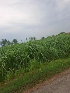 Image of 1500 Sq.ft Residential Plot / Land for sale in Garh Mukteshwar, Hapur for Rs. 5000000