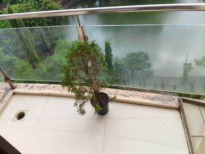 Balcony Image of 1100 Sq.ft 2 BHK Apartment / Flat for sale in Ulwe Navi Mumbai for Rs. 19000000