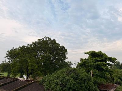 Image of 5000 Sq.ft Residential Plot / Land for sale in Hirapur Colony, Raipur for Rs. 2875000