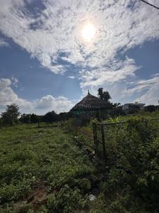 Image of 1378 Sq.ft Residential Plot / Land for sale in Bhauwala, Dehradun for Rs. 4100000