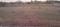Shadnagar Plot View 2