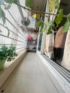 Balcony Image of 900 Sq.ft 2 BHK Apartment / Flat for sale in Kalwa Thane for Rs. 11500000