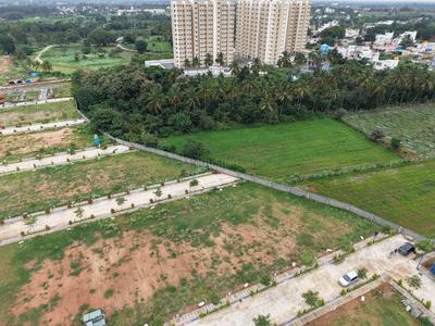Residential Plot