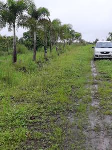 Image of 10000 Sq.ft Residential Plot / Land for sale in Trimbak, Nashik for Rs. 2500000
