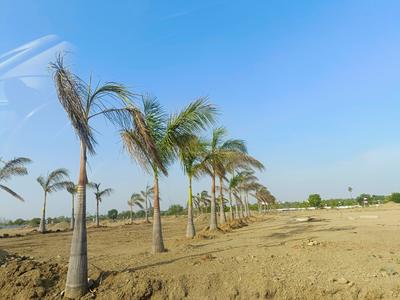Image of 1815 Sq.ft Residential Plot / Land for sale in South Pride Sanctuary, Shankarpally, Hyderabad for Rs. 5454000