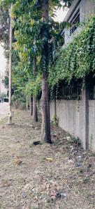 Image of 400 Sq.ft 1 BHK Apartment / Flat for sale in Sector MU, Greater Noida for Rs. 3500000