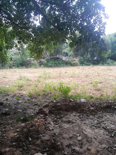 Malibu Town Main Image 1