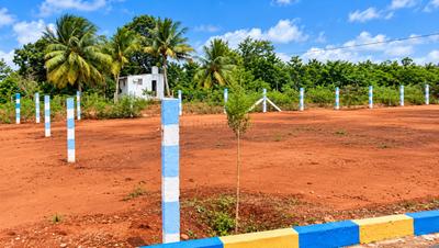 Image of 8362 Sq.ft Residential Plot / Land for sale in AIIMS Nagar, Kinnimangalam, Madurai for Rs. 500000