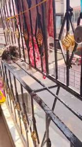 Balcony Image of 850 Sq.ft 2 BHK Apartment / Flat for sale in Maa Karunamoyee Bhawan, Paschim Putiary Kolkata for Rs. 3700000