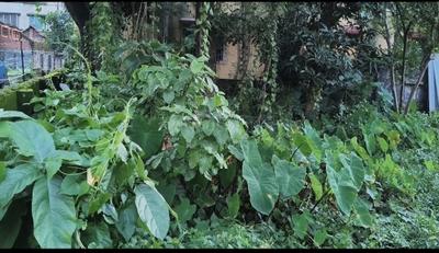 Image of 7200 Sq.ft Residential Plot / Land for sale in Bally, Howrah for Rs. 12000000