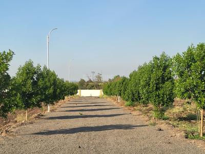 Image of 1840 Sq.ft Residential Plot / Land for sale in Hadapsar, Pune for Rs. 1012000