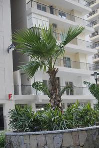 Image of 995 Sq.ft 2 BHK Apartment / Flat for sale in High End Windsor Paradise II, Raj Nagar Extension, Ghaziabad for Rs. 7200000