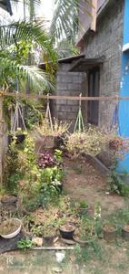 Image of 700 Sq.ft 2 BHK Independent House for sale in Ollur, Thrissur for Rs. 1700000