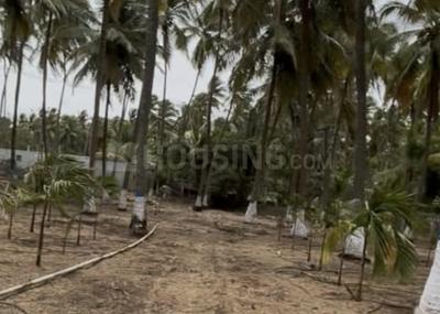 Image of 15681 Sq.ft Residential Plot / Land for sale in Kinathukadavu, Coimbatore for Rs. 9000000