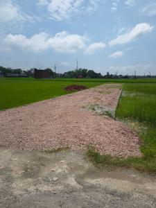 Image of 1360 Sq.ft 1 BHK Farm House for sale in Narayanpur, Mirzapur for Rs. 2350000