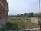 Baraula Plot View 1