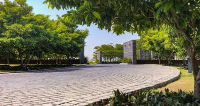 Pipan Plot View 2