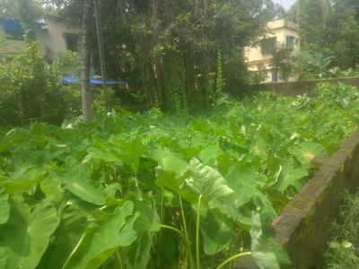 Image of 2520 Sq.ft Residential Plot / Land for sale in Behala, Kolkata for Rs. 5500000