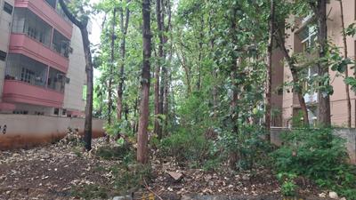 Rajarajeshwari nagara Plot View 2