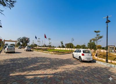 Rich world hills Plot View 2